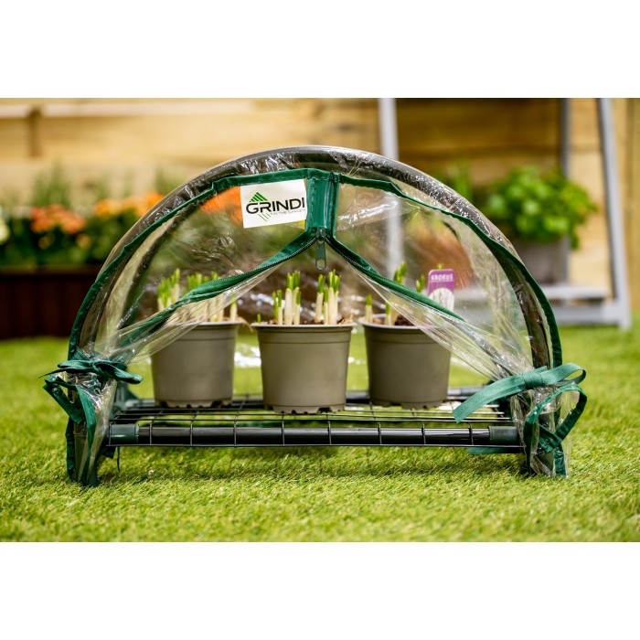 Lotus I Miniszklarnia 43x27x31 - Przezroczysta Grindi - 5
